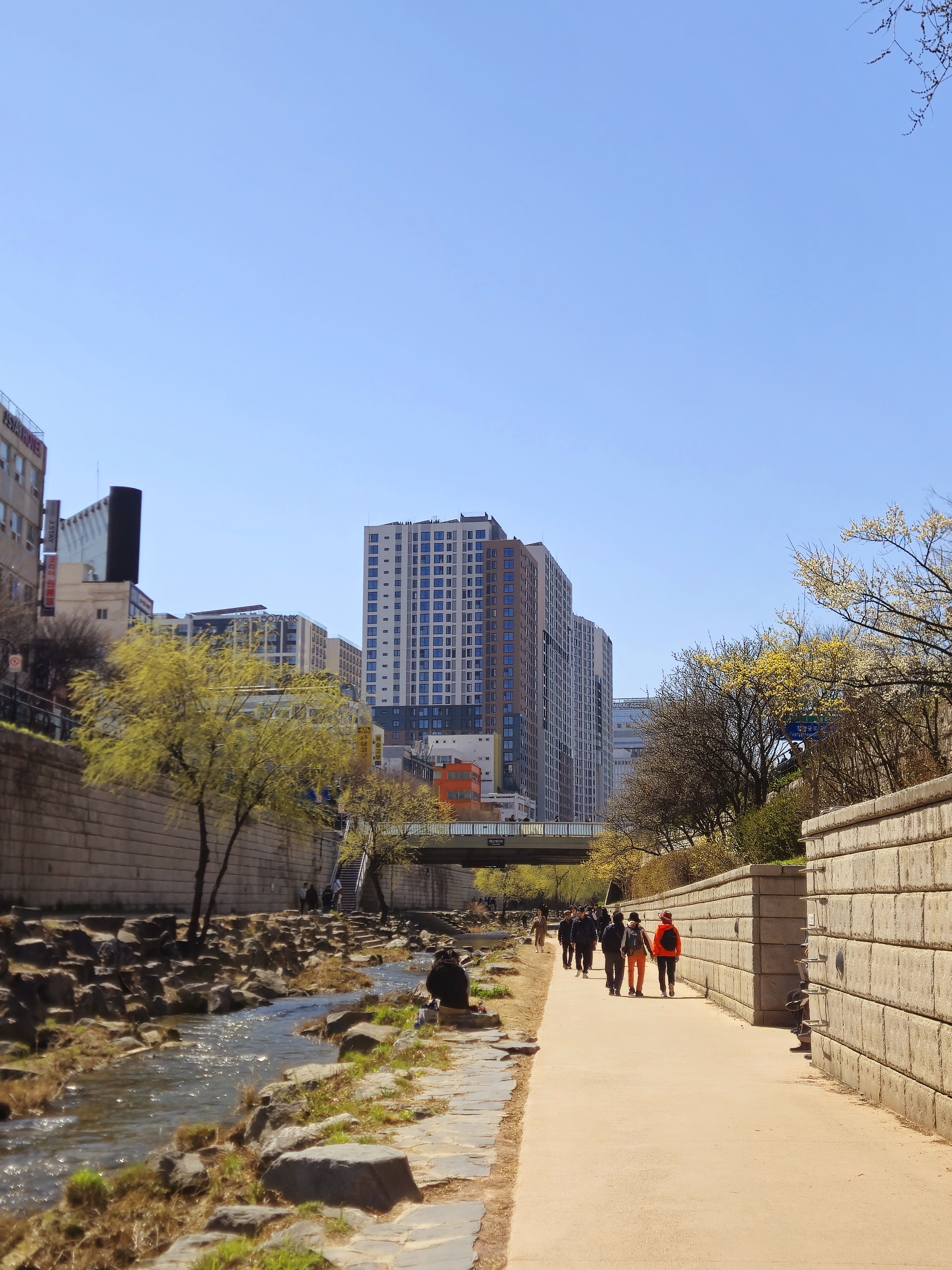 Cours d'eau appelé le « Cheonggyecheon » en plein cœur de Séoul (2025)