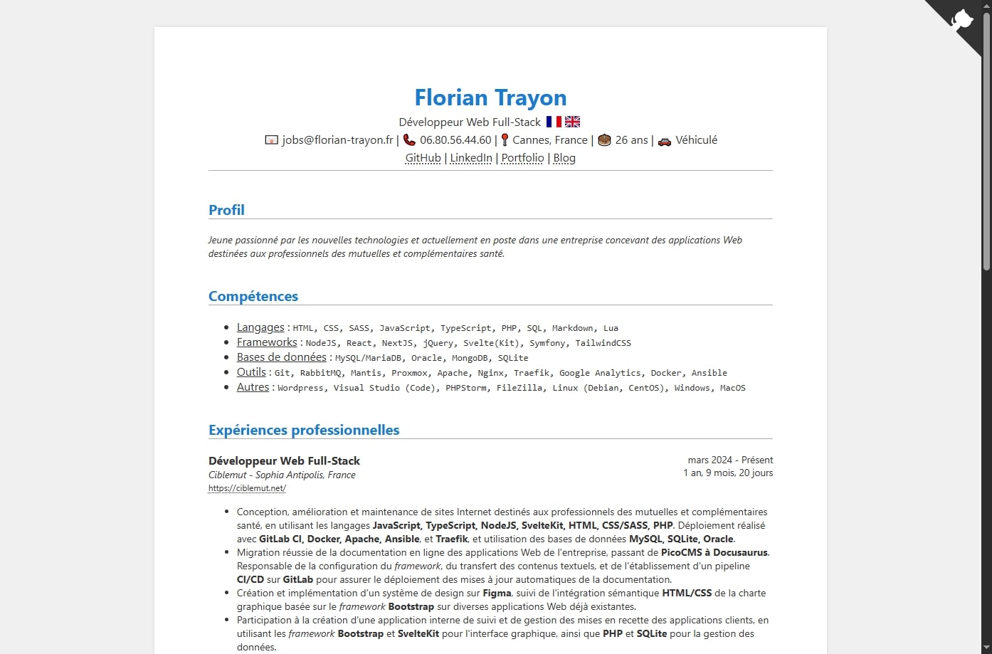 Aperçu du Curriculum Vitae généré à partir de mes informations personnelles