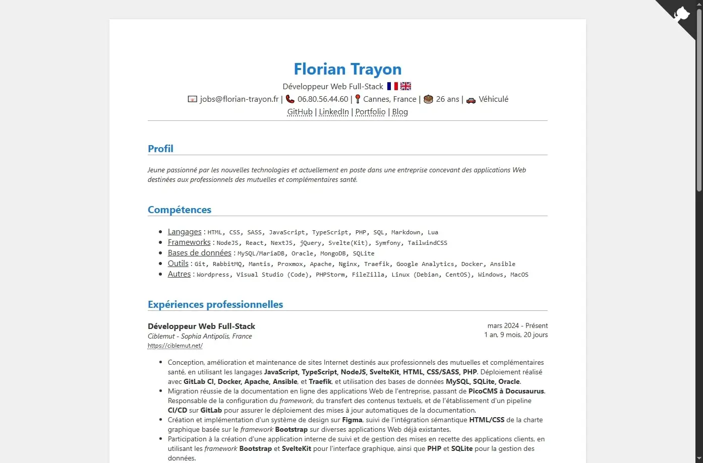 Aperçu du Curriculum Vitae généré à partir de mes informations personnelles