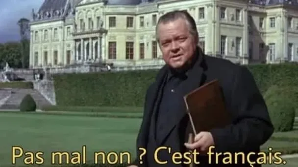 Mème du réalisateur Michel Hazanavicius repris pour montrer une réussite française (1993)